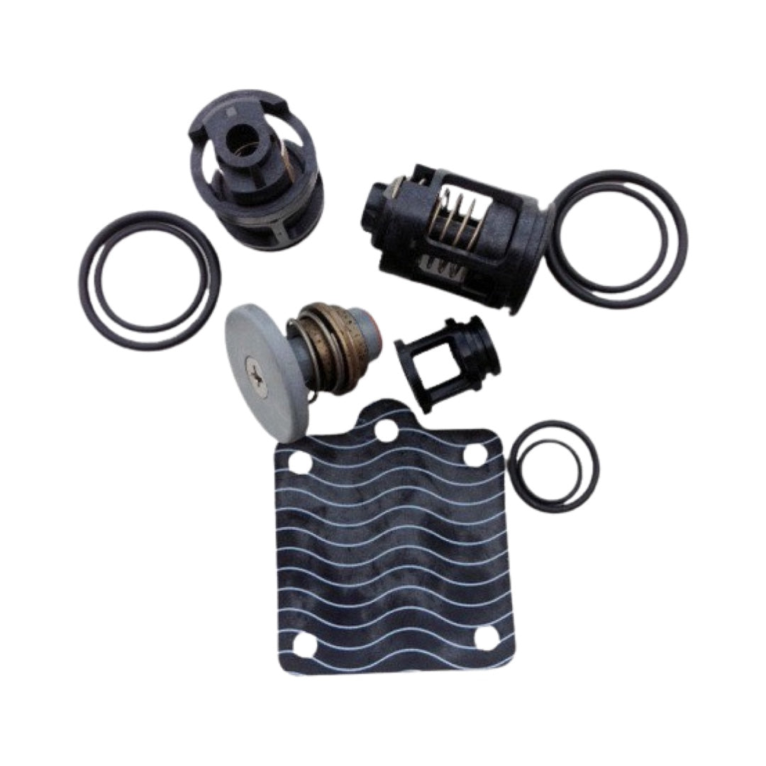 APOLLO 4A00310 1/2" RP4A COMPLETE INTERNALS