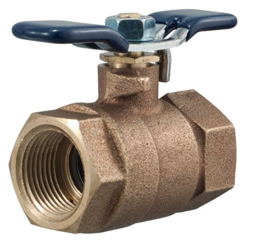Febco Non Tapped BV 1" 781049LL