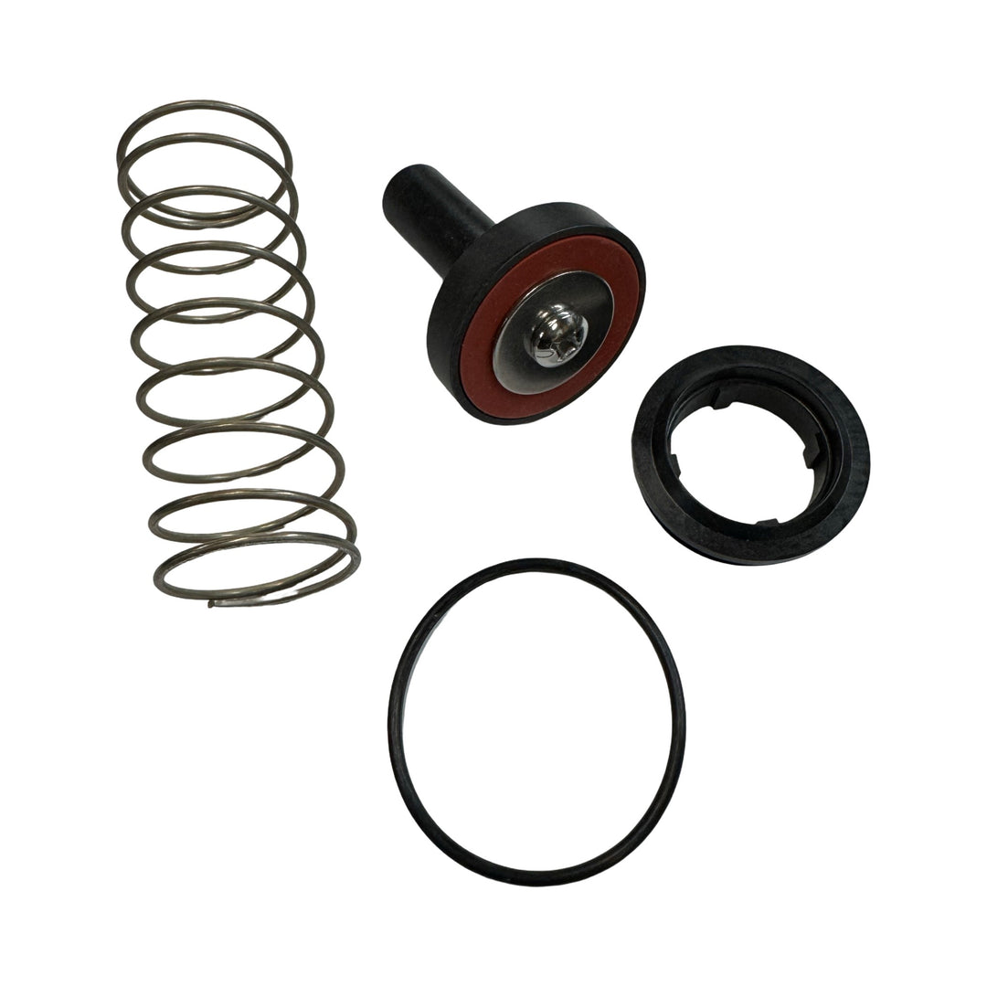 WILKINS RK34-950XLCK2 3/4" - 1" #2 CHECK KIT