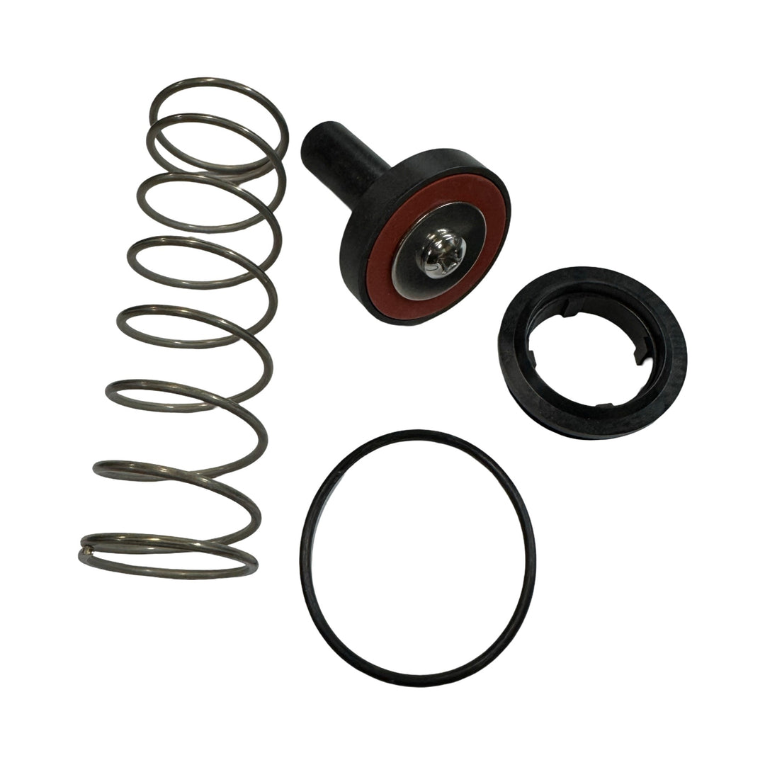 WILKINS RK34-975XLCK1 975XL / 975XL2 3/4" - 1" #1 CHECK KIT