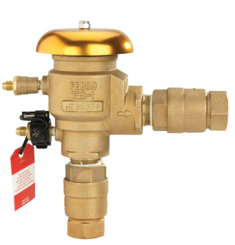 FEBCO 765 1" PVB Assembly T765EBV