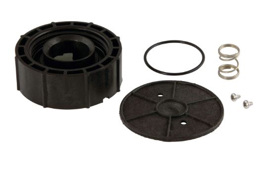 WATTS 0887701 RK 800M4 B 1" BONNET REPLACEMENT KIT