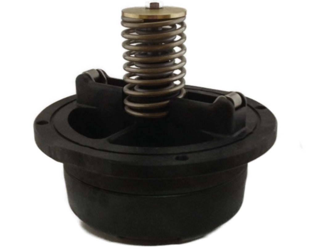 WILKINS RK8-375CK1 #1 POPPET ASSY 375 8" - 10"