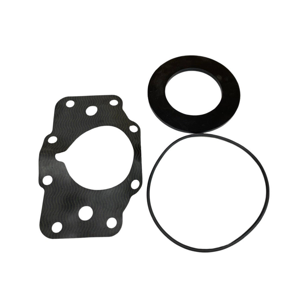 APOLLO 4S00E04 CHECK RUBBER KIT